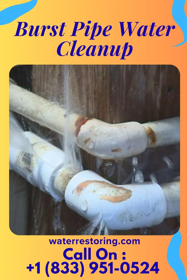 Burst Pipe Water Cleanup in Hampton, MD