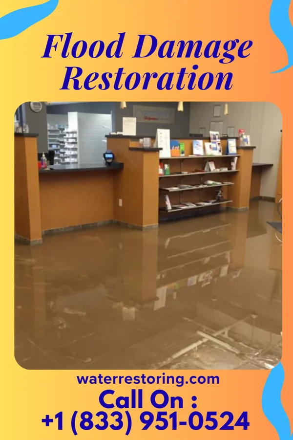 Flood Damage Restoration in Hampton, MD