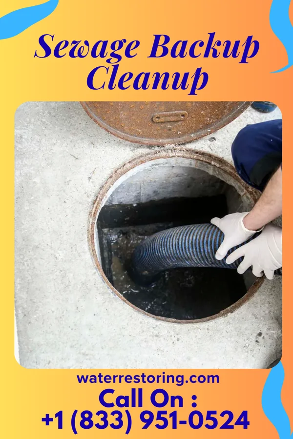 Sewage Backup Cleanup in Hampton, MD